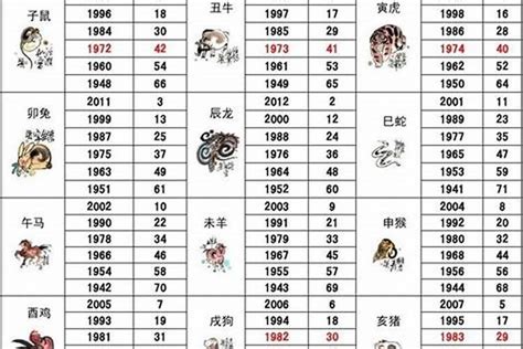 1954年生肖|1954年属什么生肖